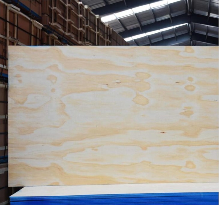 Pine Plywood C/C C/D For Construction And Decration