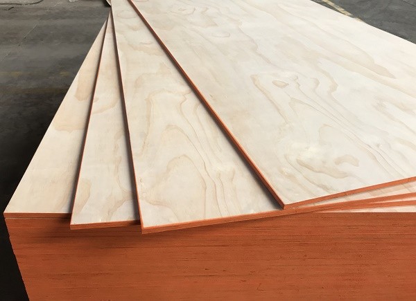 Pine Plywood C/C C/D For Construction And Decration