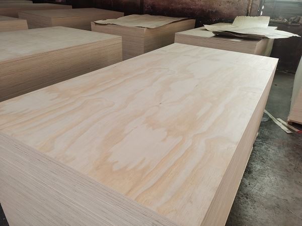Pine Plywood C/C C/D For Construction And Decration