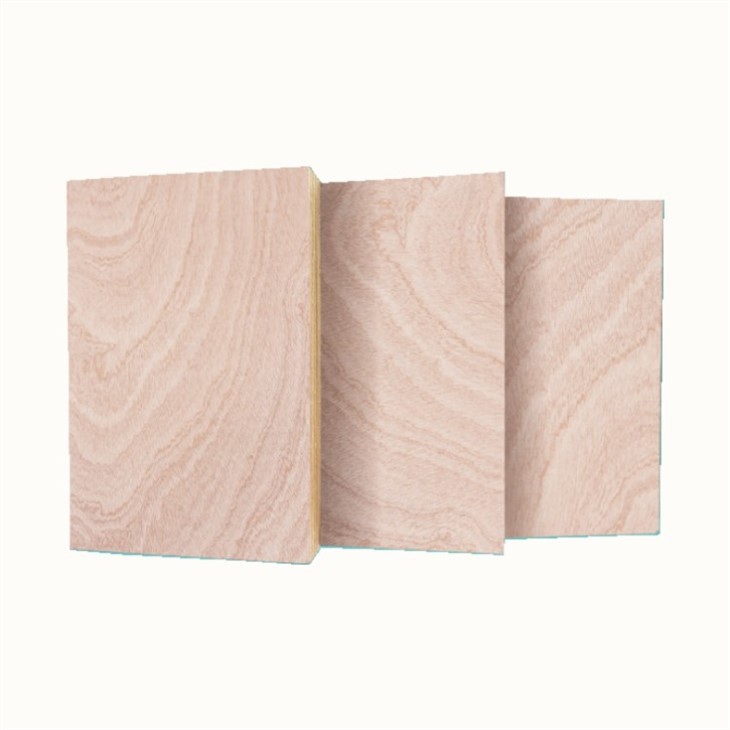 Plywood Supplier Good Quality Wood 4ft X 8ft Size