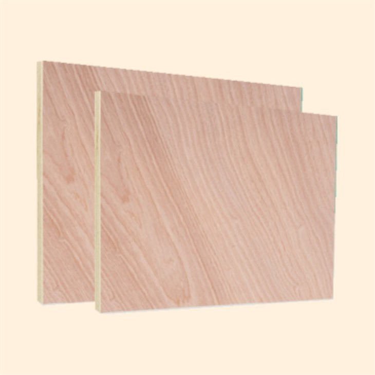 Plywood Supplier Good Quality Wood 4ft X 8ft Size