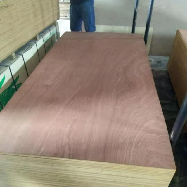 Sapele Plywood
