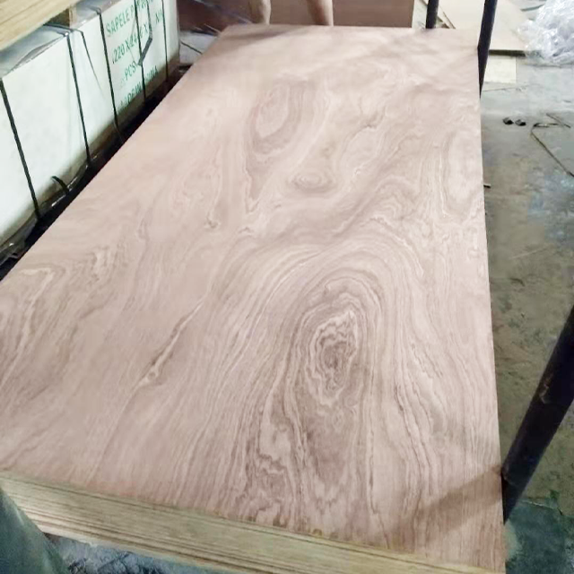 Sapele Plywood