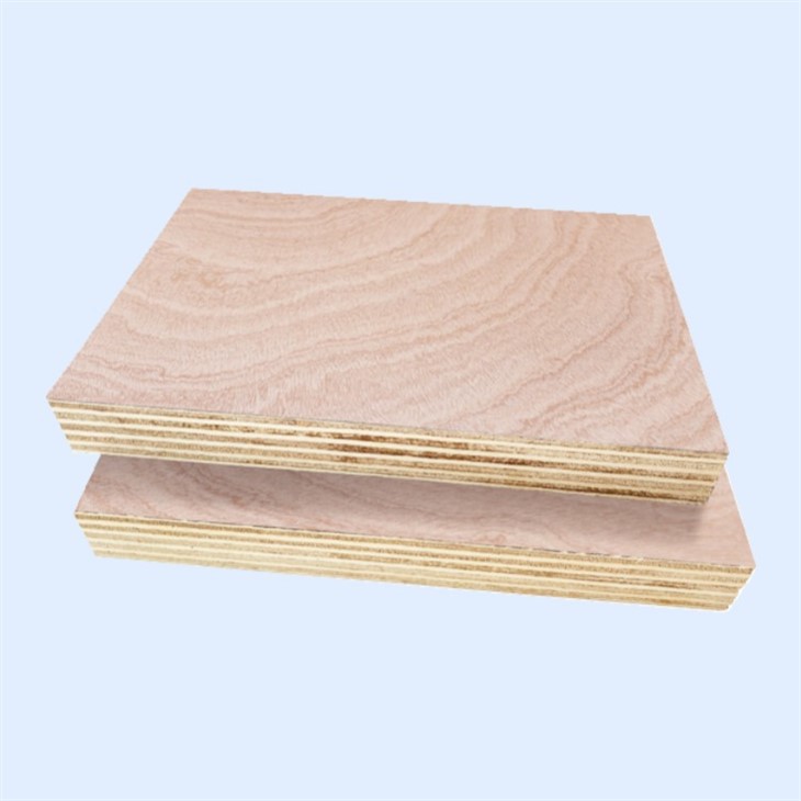 Shandong High Quality Commercial Plywood For Decoration