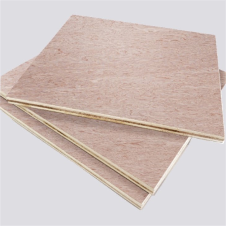 Shandong High Quality Commercial Plywood For Decoration