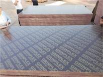 15mm Film Faced Plywood- China