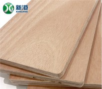 19mm Plywood 8x4