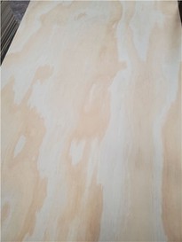 17mm Pine Plywood Roofing Structural