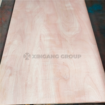 910/810/710*2150 Door Skin Plywood 910/810/710*2150 Door Skin Plywood