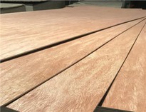 Best Price Packing Grade Plywood3/6/9/12/15/18 mm Commercial Plywood