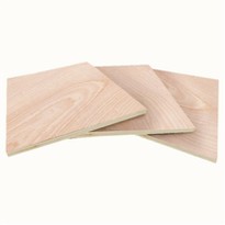 Bintangor BBCC Face Back Veneer Commercial Plywood