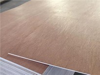 China Factory Pencil Cedar Plywood E1 Glue For Furniture