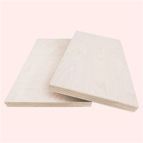 Chinese Natural Wood Poplar Core Commercial Plywood Hot Sale