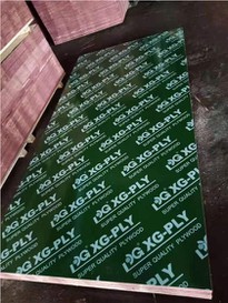 Green Plastic Film Faced Plywood Hardwood