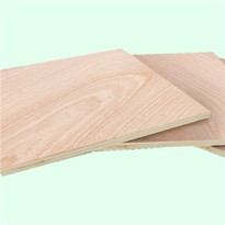Multiple Veneer Natural Wood Commercial Plywood Cheap Price