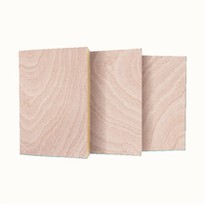 Plywood Supplier Good Quality Wood 4ft X 8ft Size