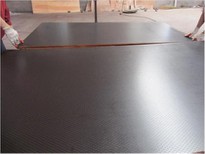 Wiremesh Anti-slip Film Faced Plywood