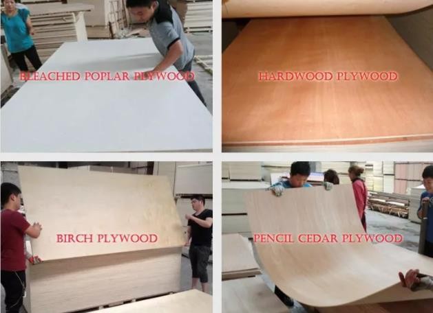 Special Size Of 5x8, 6x8, 4x10, 5x10, 8x10 Plywood