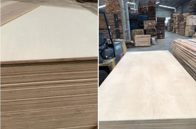 Special Size Of 5x8, 6x8, 4x10, 5x10, 8x10 Plywood