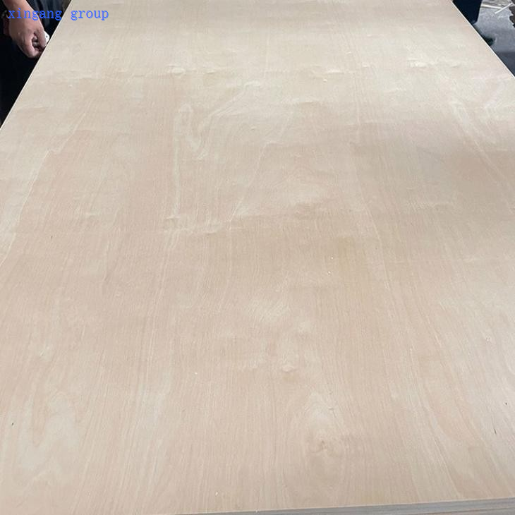 UV Birch Plywood 4x8 China One Side