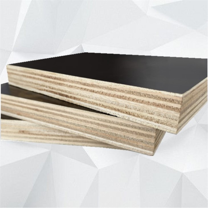 Various Types Construction Plywood Film Faced Shuttering Board