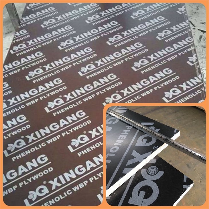XG BROWN FILM-FACED PLYWOOD VARIOUS LOGO