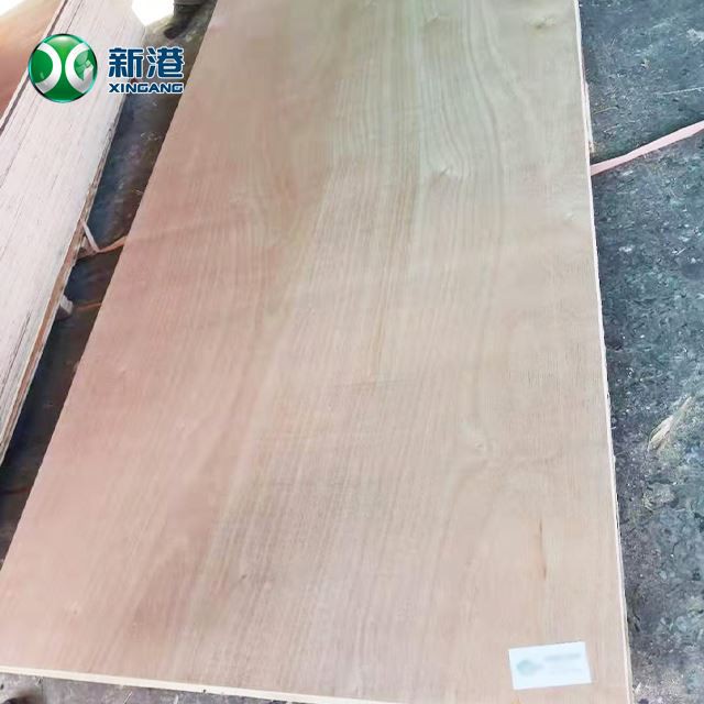 XINGANG2023 18mm Commercial Plywood Furniture Plywood Packing Plywood Face Back For Bintangor Okoume Birch Sheet MR E0 E1 E2