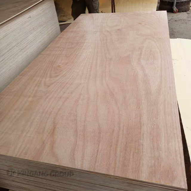 12mm Bintangor/Okoume Plywood