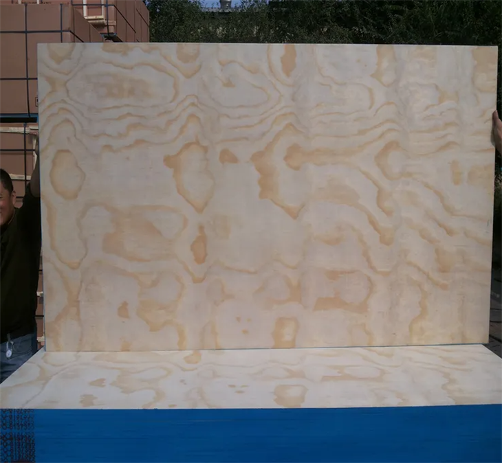 18mm CDX Pine Plywood