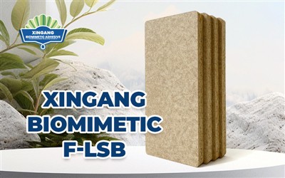 Xingang Biomimetic F-LSB