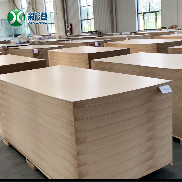 MDF20241115