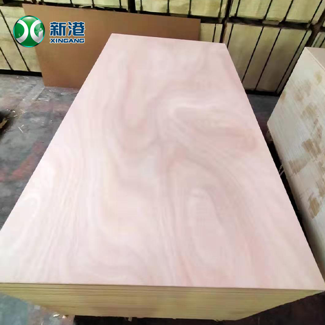 12mm Bintangor/Okoume Plywood