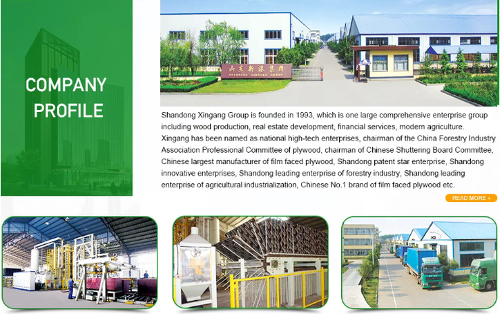 company profile company profile